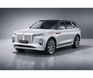 Hongqi E-HS9 2020 510km white flagship edition with four seats